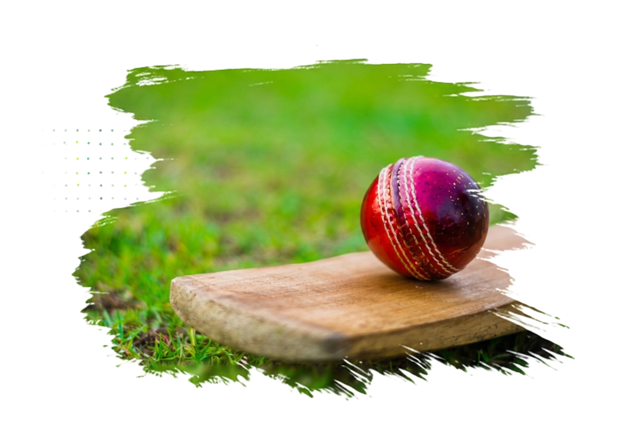 Cricket Match